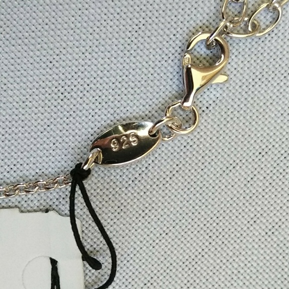 🌟NWT🌟 Fossil Sterling Silver Necklace - Picture 7 of 8